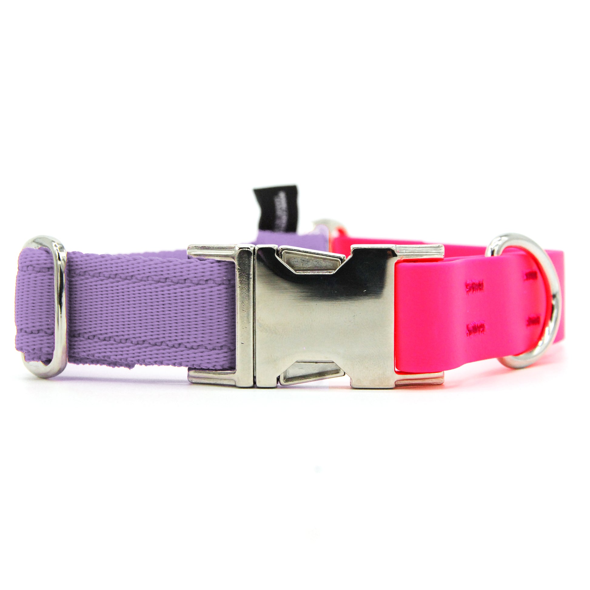 Carnival collare per cani regolabile in biothane fucsia e polipropilene - Connecto.dog