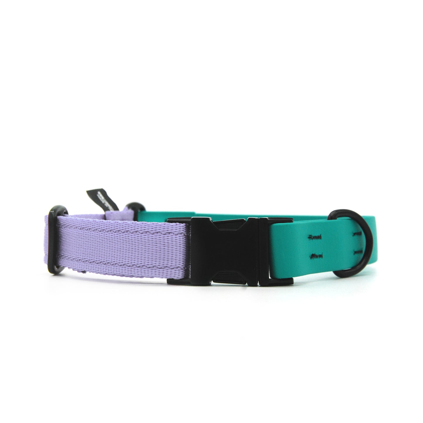 Carnival collare per cani regolabile in biothane Verde Smeraldo e polipropilene - Connecto.dog