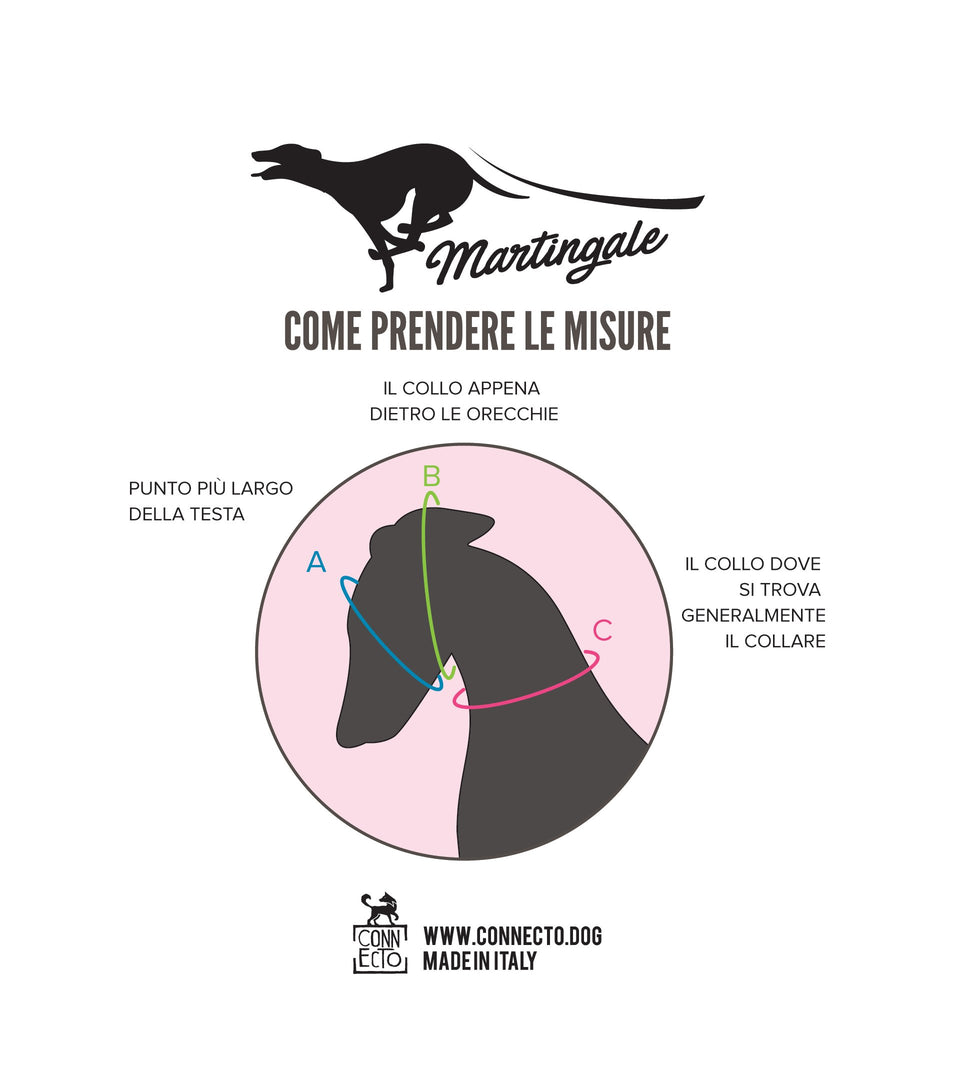 Collare martingala per levrieri jacquard 5CM