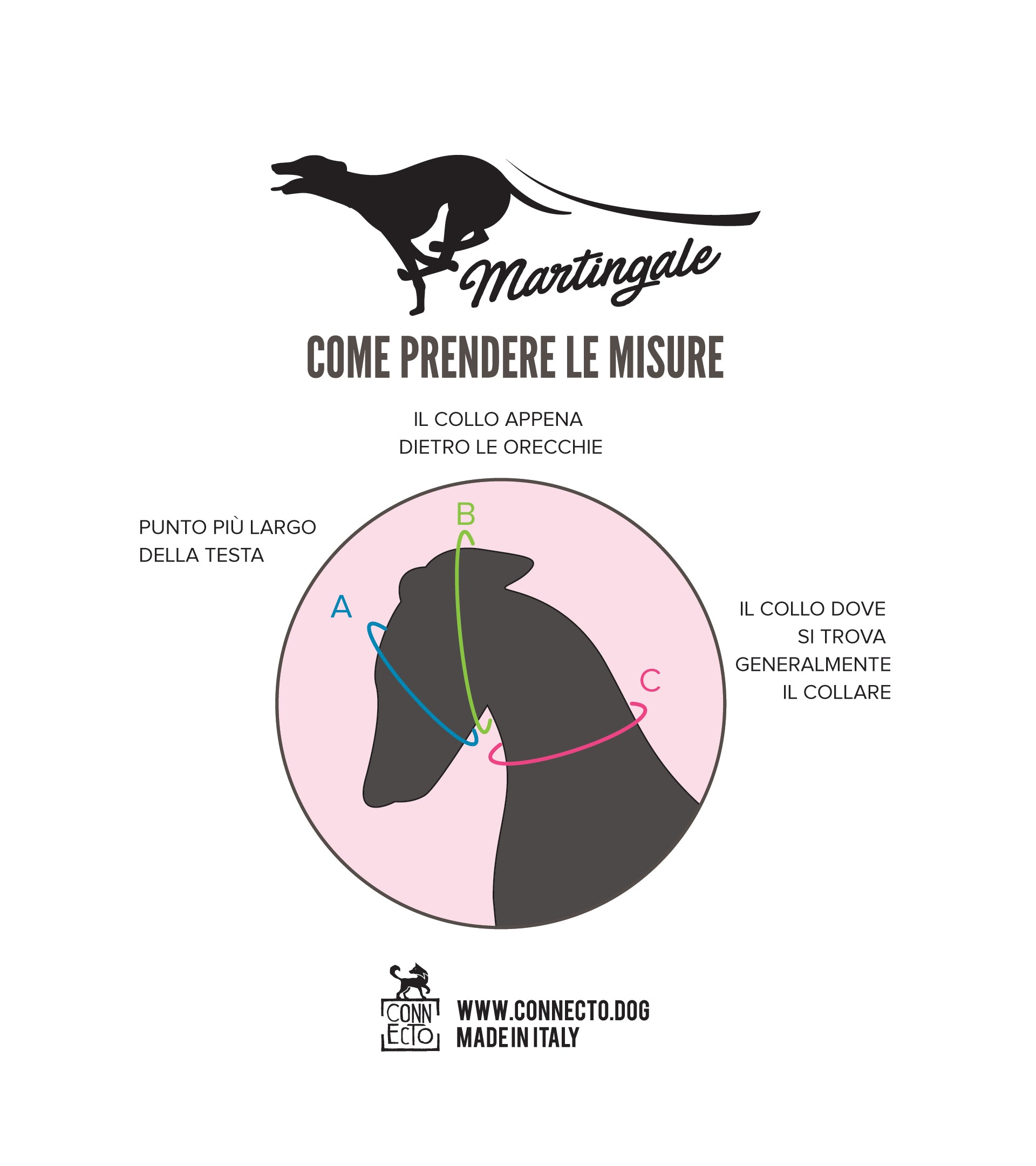 Collare martingala per cane con imbottitura - Connecto.dog