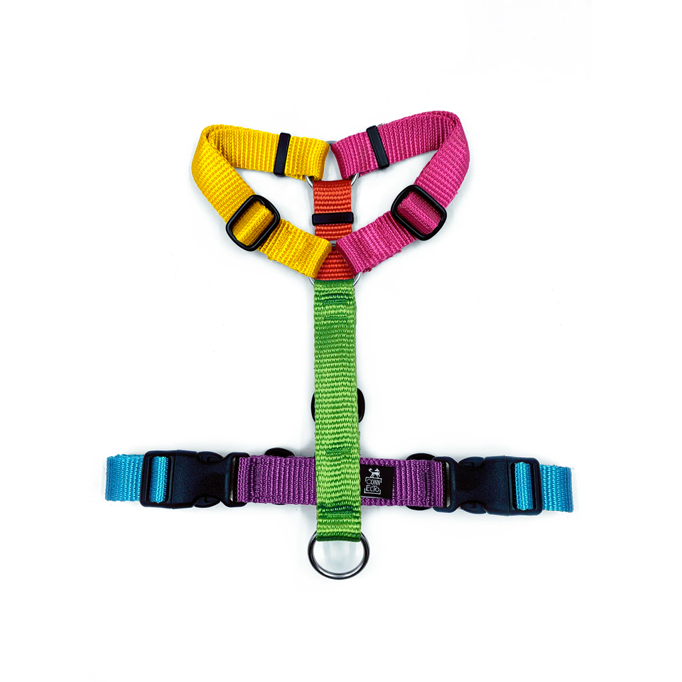 Nuova Pettorina Harlequin Multicolore - Connecto.dog