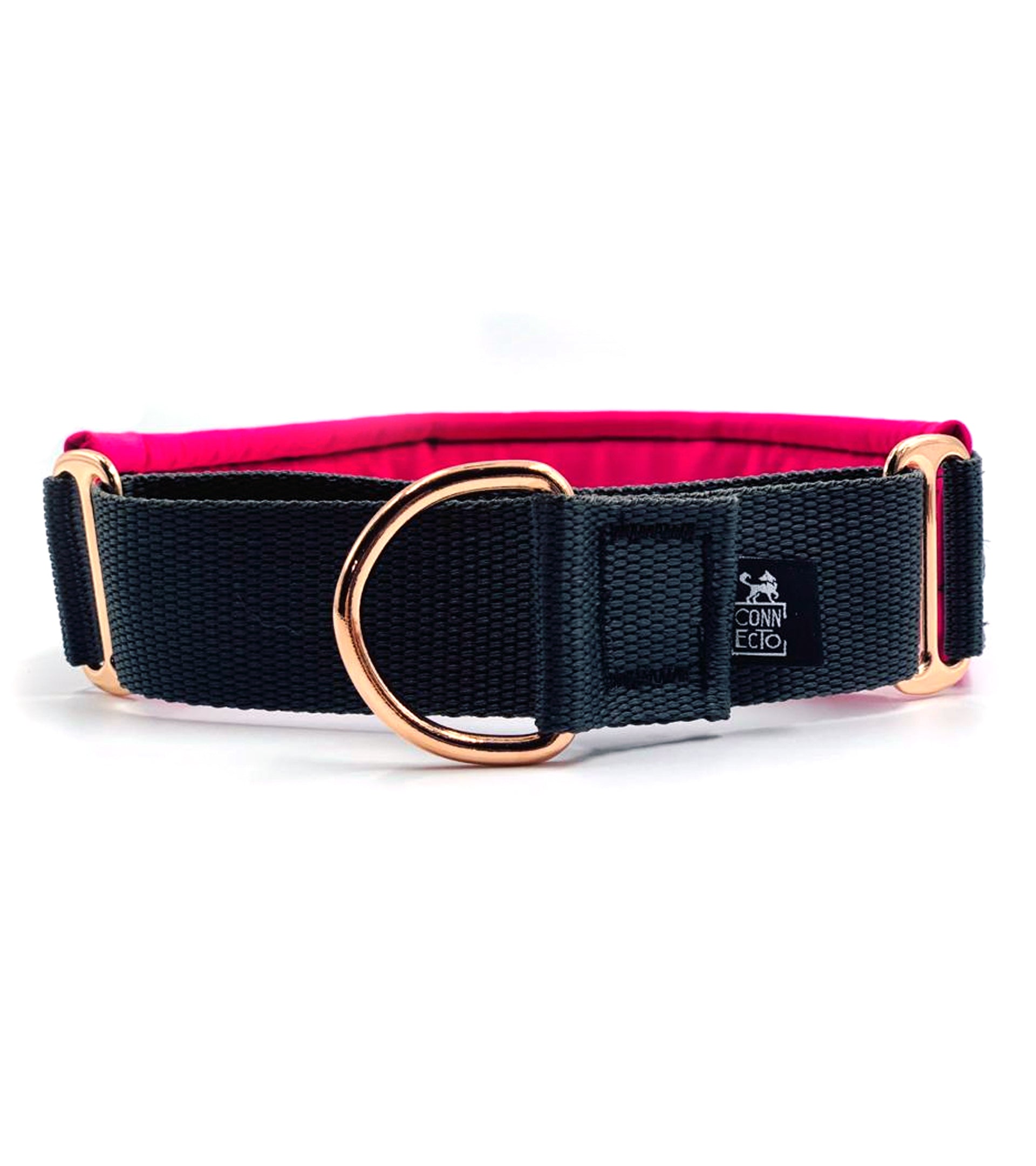 Collare martingala per cane con imbottitura - Connecto.dog