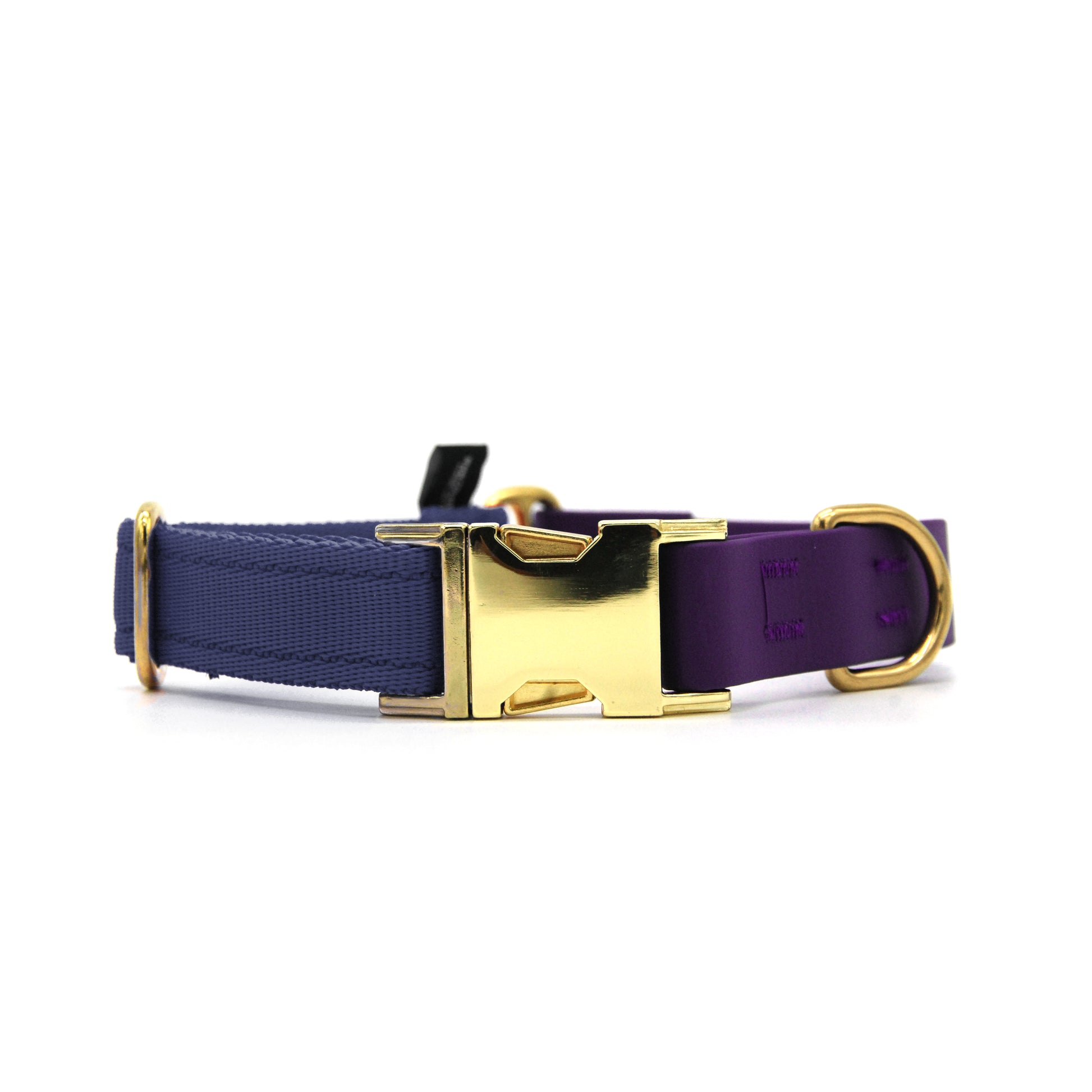Carnival collare per cani regolabile in biothane viola e polipropilene - Connecto.dog