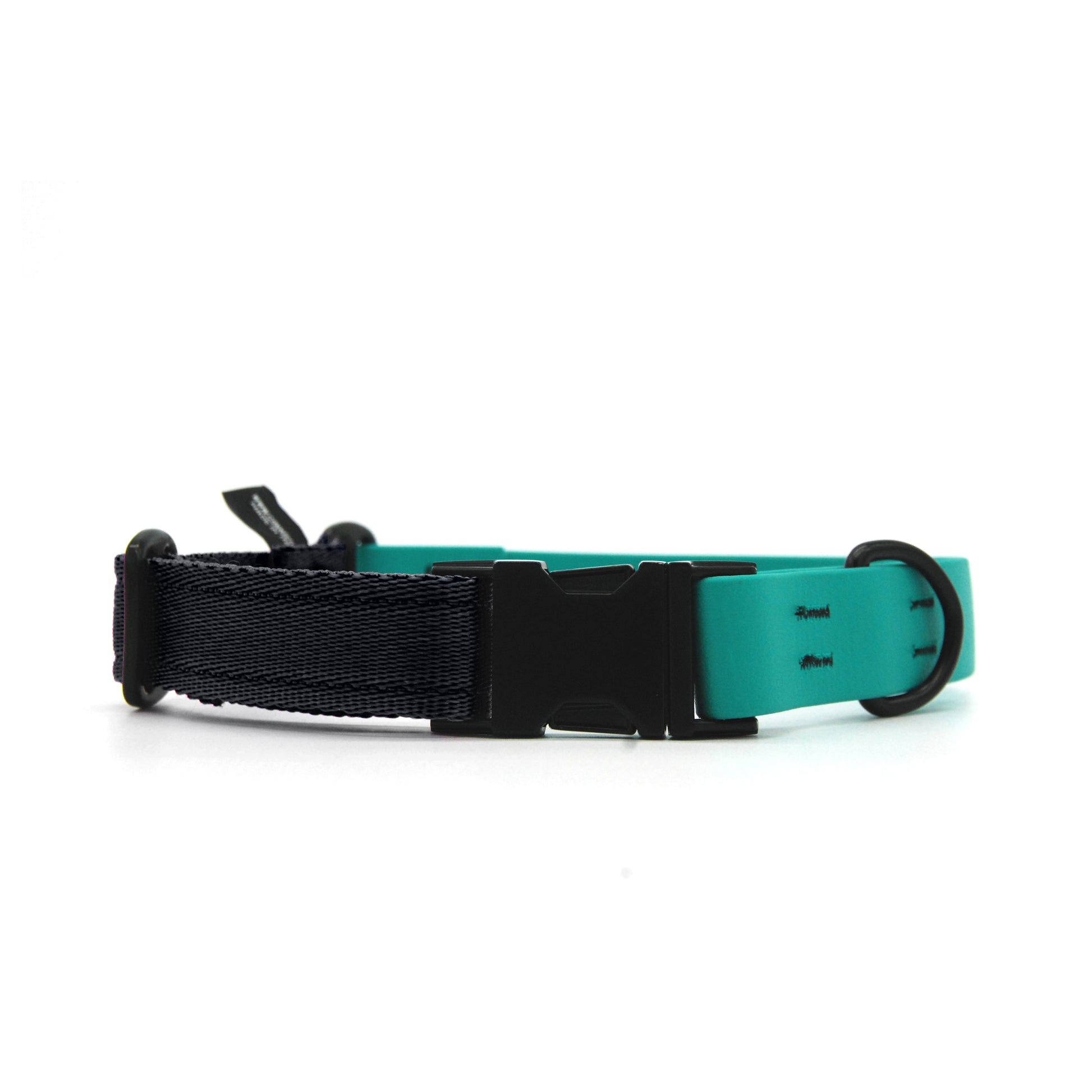 Carnival collare per cani regolabile in biothane Verde Smeraldo e polipropilene - Connecto.dog