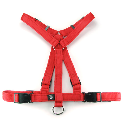 Pettorina comfort fit Virtuosa per cane con petto profondo - Connecto.dog