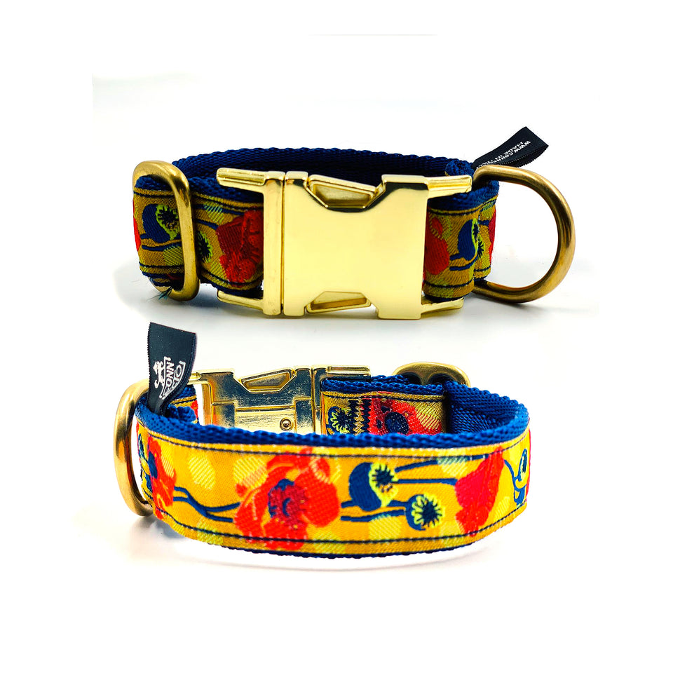 OhMyDog! Collare per cani Poppy Bloom - Connecto.dog