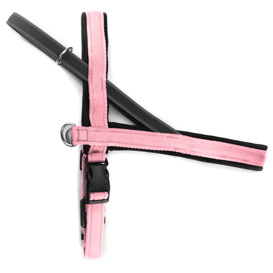 Pettorina Norvegese per cani Rosa Baby – Yosemite Collection - Connecto.dog