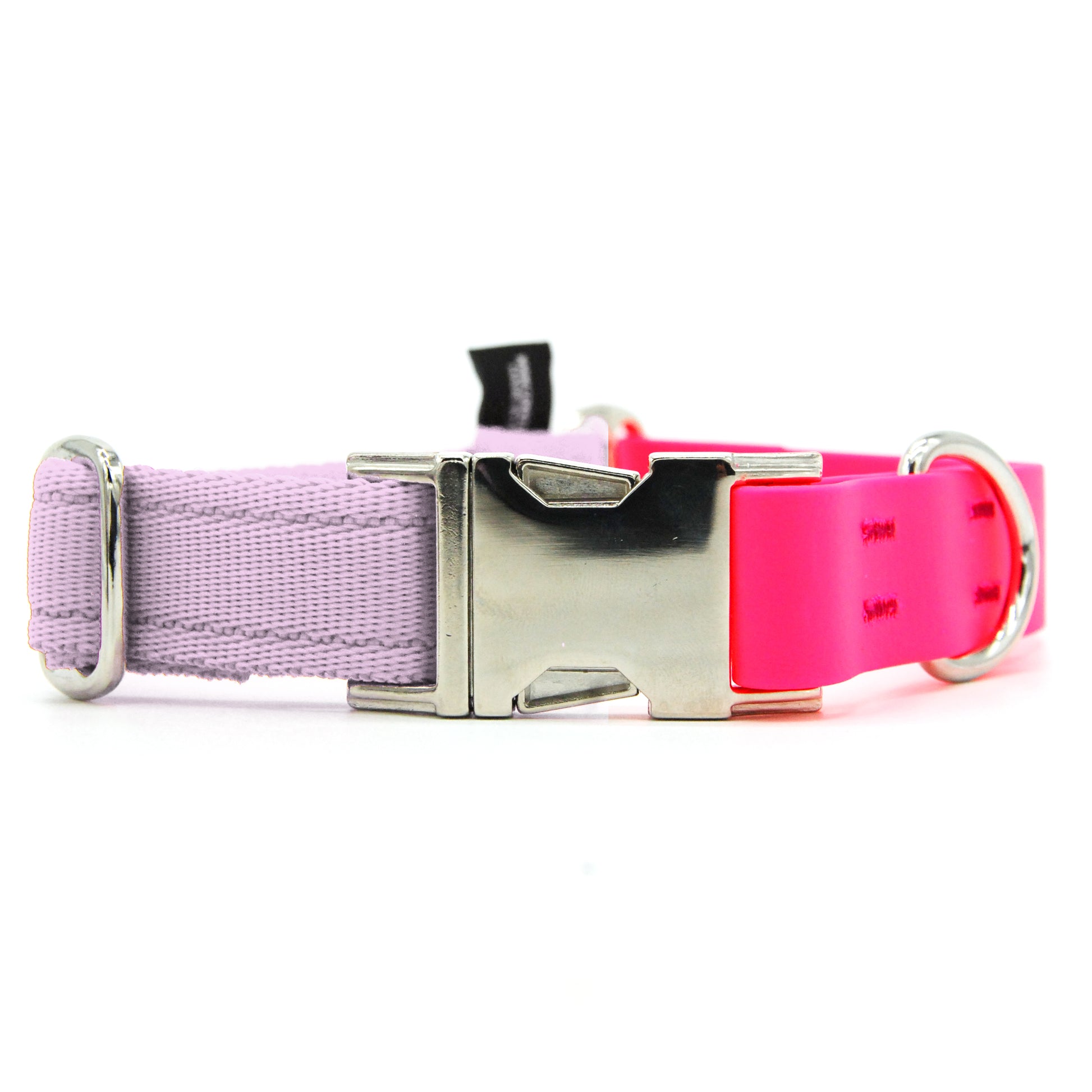 Carnival collare per cani regolabile in biothane fucsia e polipropilene - Connecto.dog