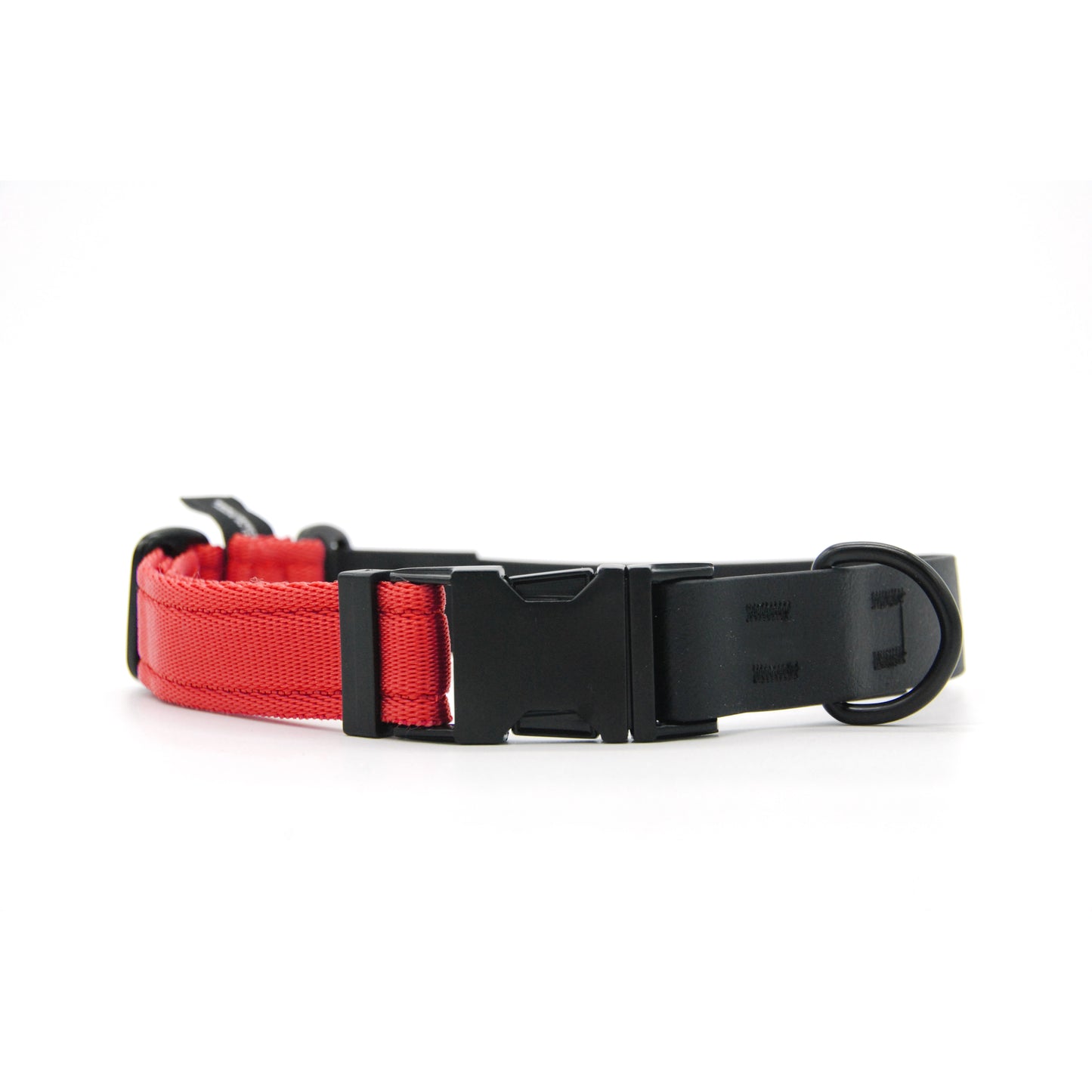 Carnival collare per cani regolabile in biothane nero e polipropilene - Connecto.dog