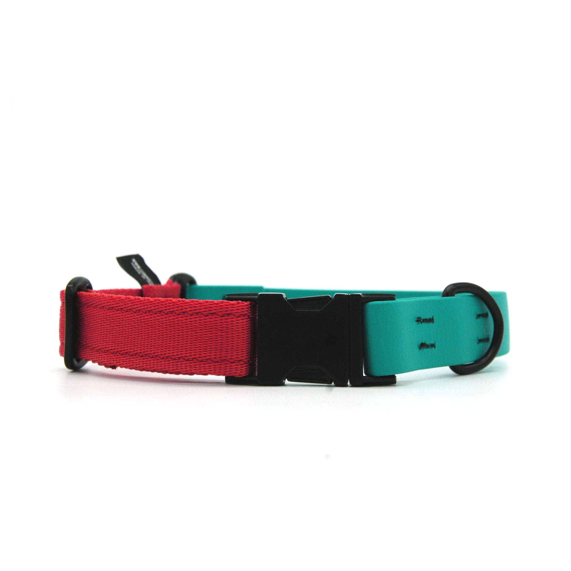 Carnival collare per cani regolabile in biothane Verde Smeraldo e polipropilene - Connecto.dog