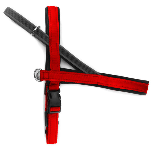 Pettorina Norvegese per cani Rosso – Yosemite Collection - Connecto.dog