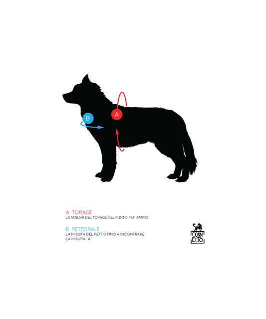Pettorina Norvegese per cani Verde Smeraldo – Yosemite Collection - Connecto.dog