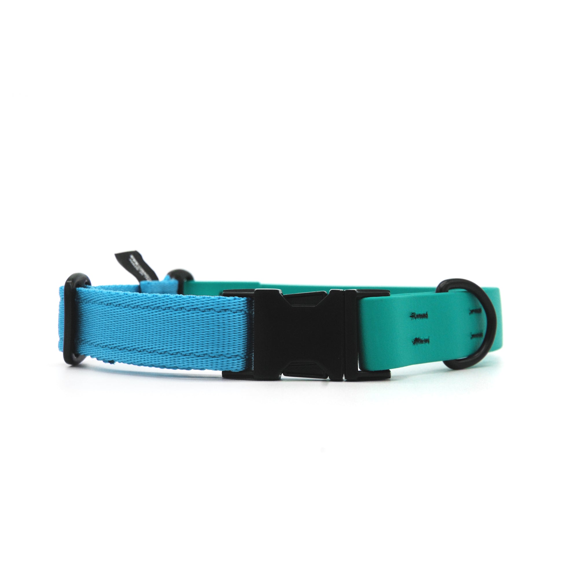 Carnival collare per cani regolabile in biothane Verde Smeraldo e polipropilene - Connecto.dog