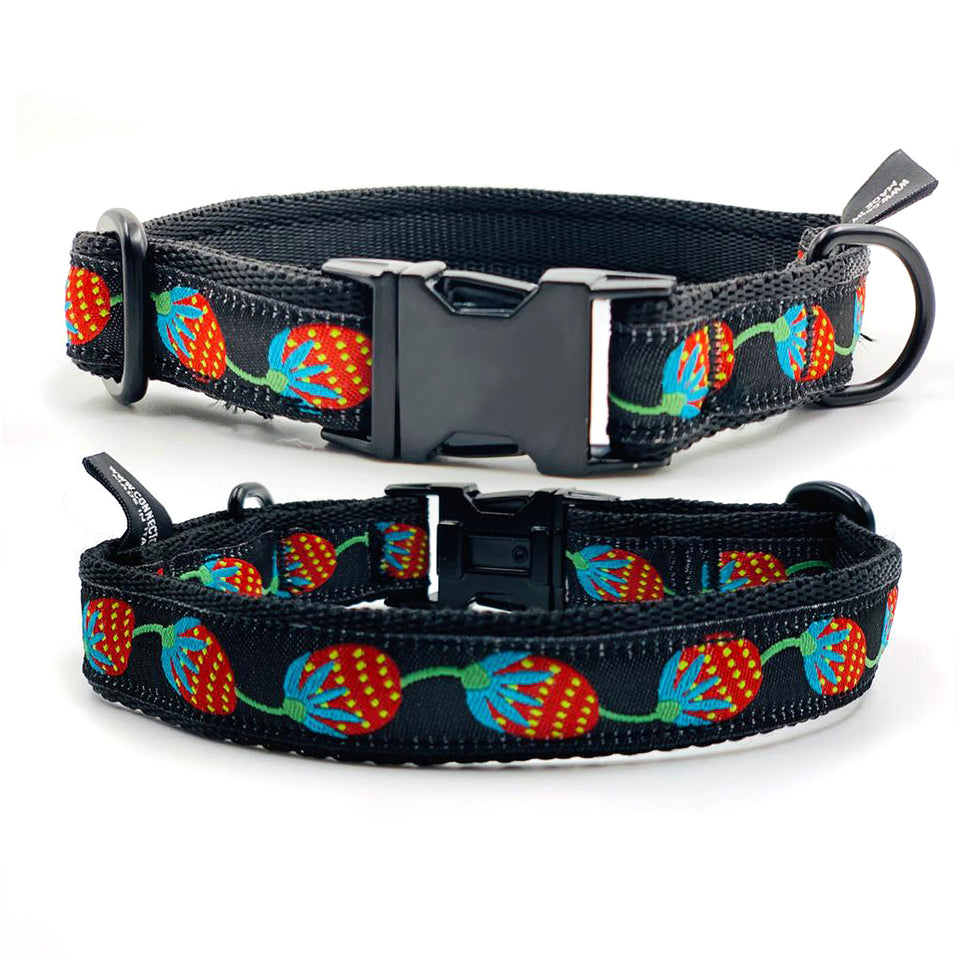 OhMyDog! Collare per cani Strawberry field furever - Connecto.dog