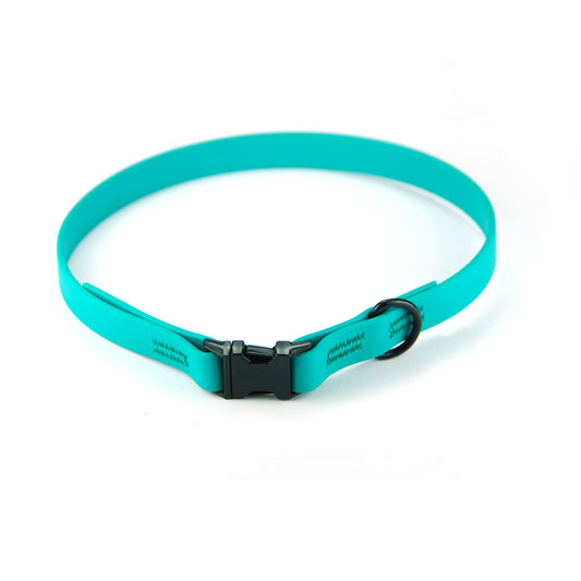 Collare per cani fisso in Biothane® verde smeraldo - Connecto.dog