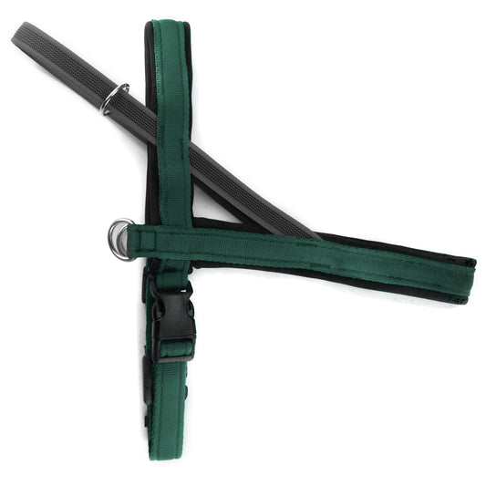 Pettorina Norvegese per cani Verde Bosco – Yosemite Collection - Connecto.dog