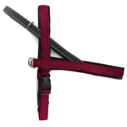 Pettorina Norvegese per cani Vinaccia – Yosemite Collection - Connecto.dog