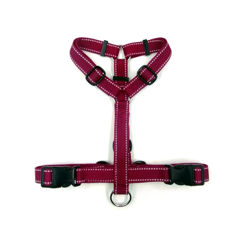 Pettorina ad H per cane con riflettente