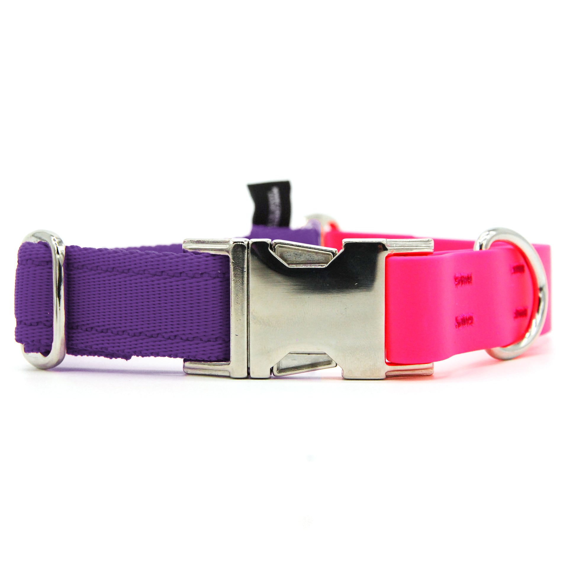 Carnival collare per cani regolabile in biothane fucsia e polipropilene - Connecto.dog