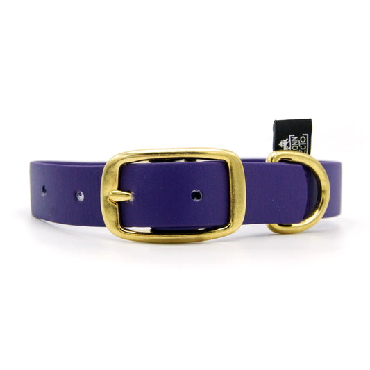Collare in Biothane 25mm Viola regolabile con fibbia in alluminio - Connecto.dog
