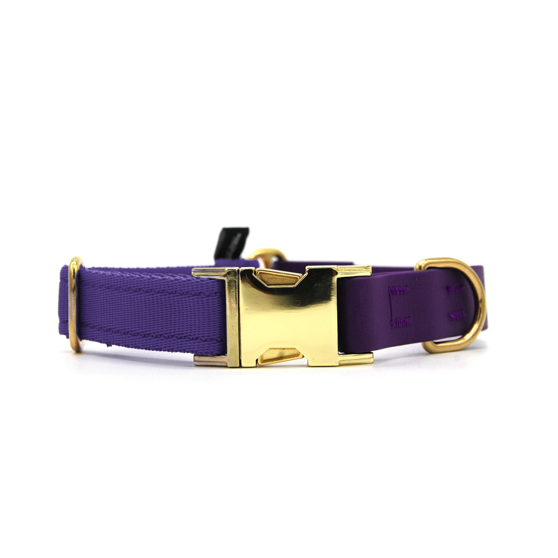 Carnival collare per cani regolabile in biothane viola e polipropilene - Connecto.dog