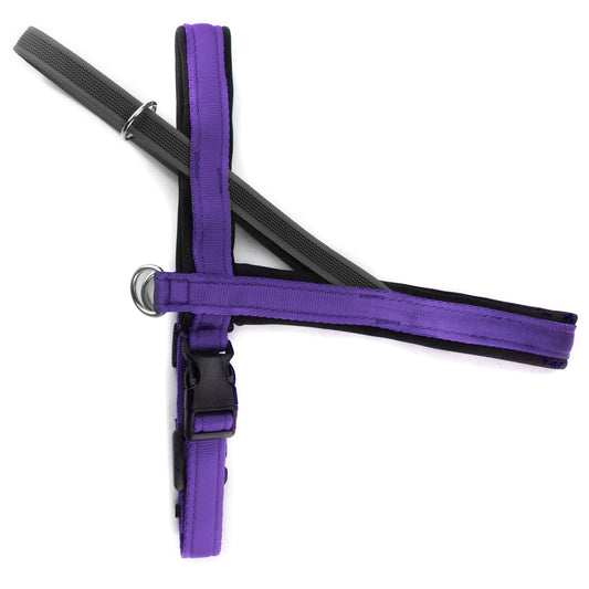 Pettorina Norvegese per cani Viola – Yosemite Collection - Connecto.dog