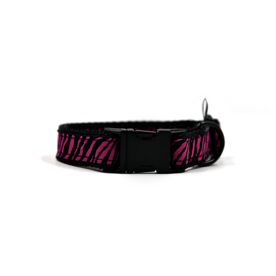 OhMyDog! Collare per cani Zebra print